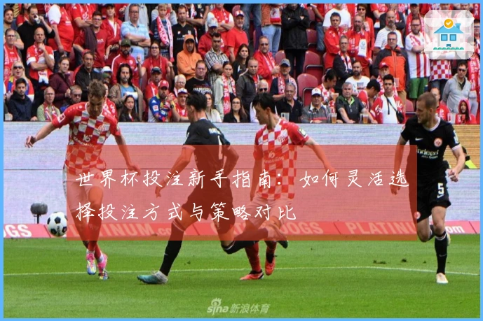 世界杯投注新手指南：如何灵活选择投注方式与策略对比