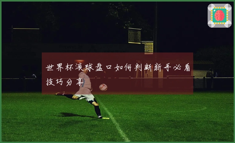 世界杯滚球盘口如何判断新手必看技巧分享
