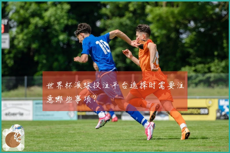 世界杯滚球投注平台选择时需要注意哪些事项？