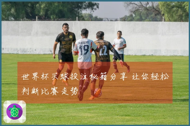 世界杯买球投注秘籍分享 让你轻松判断比赛走势