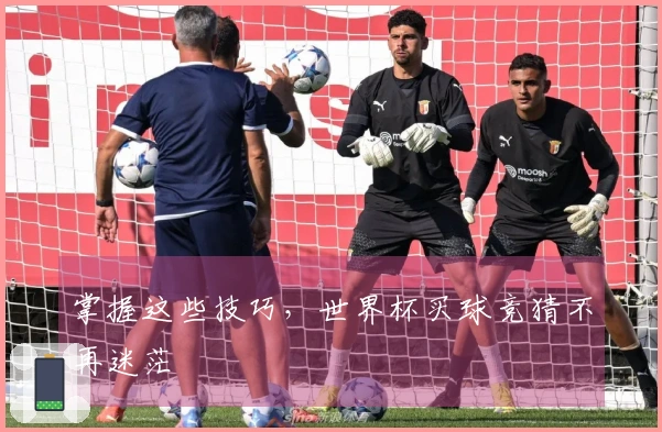 掌握这些技巧，世界杯买球竞猜不再迷茫