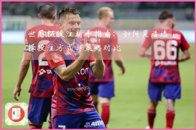 世界杯投注新手指南：如何灵活选择投注方式与策略对比