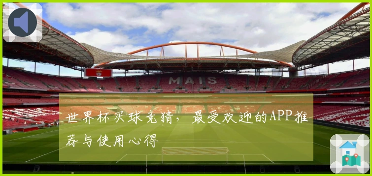 世界杯买球竞猜，最受欢迎的APP推荐与使用心得
