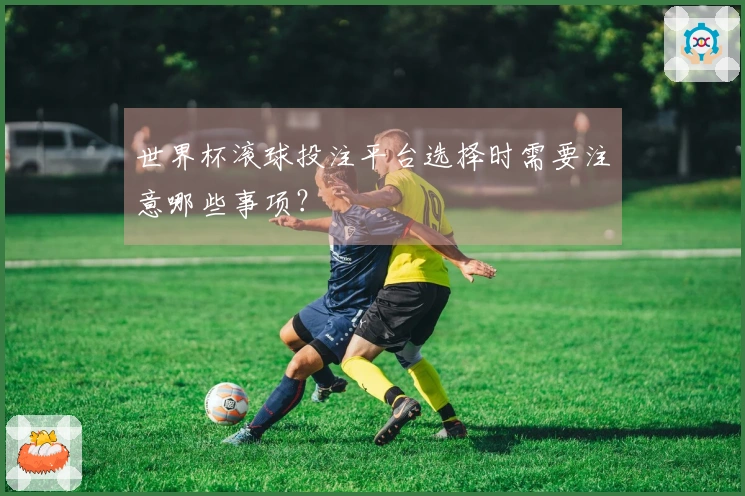 世界杯滚球投注平台选择时需要注意哪些事项？