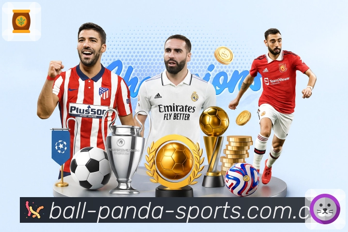 熊猫体育活动图